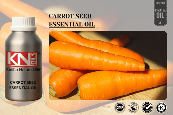 CARROT SEED ESSENTIAL OIL
