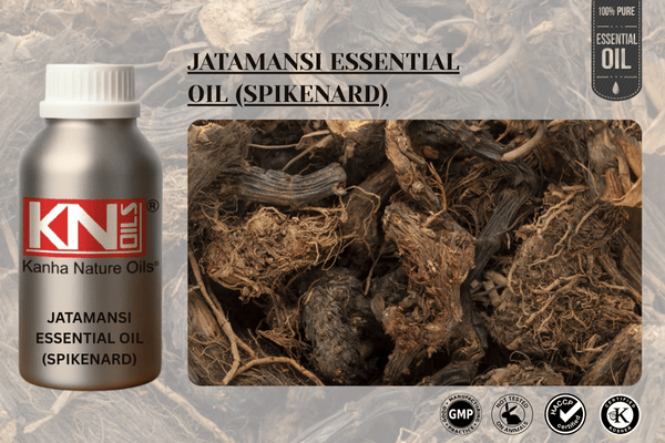 JATAMANSI ESSENTIAL OIL (SPIKENARD)