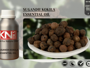 SUGANDH KOKILA ESSENTIAL OIL
