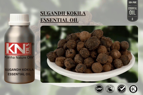 SUGANDH KOKILA ESSENTIAL OIL