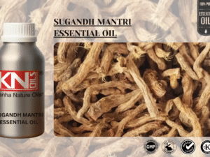 SUGANDH MANTRI ESSENTIAL OIL