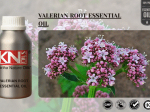 VALERIAN ROOT ESSENTIAL OIL
