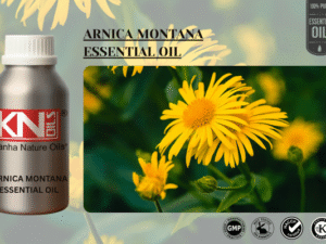 ARNICA MONTANA ESSENTIAL OIL