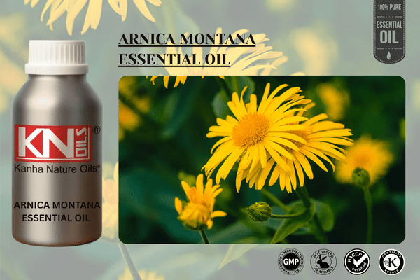 ARNICA MONTANA ESSENTIAL OIL