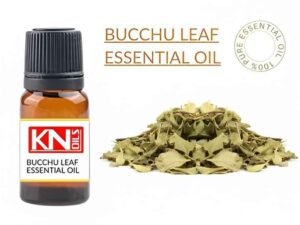 BUCCHU LEAF ESSENTIAL OIL