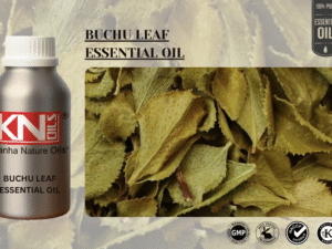 BUCHU LEAF ESSENTIAL OIL