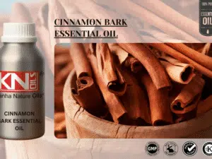 CINNAMON BARK ESSENTIAL OIL