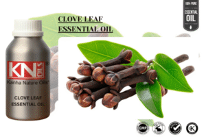 CLOVE LEAF ESSENTIAL OIL