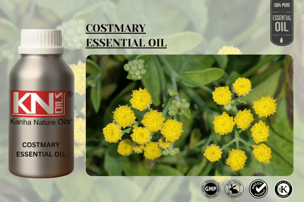 COSTMARY ESSENTIAL OIL
