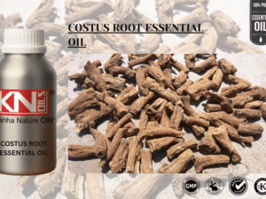 COSTUS ROOT ESSENTIAL OIL