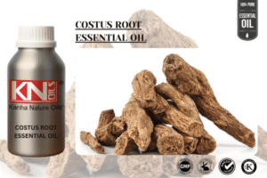 COSTUS ROOT ESSENTIAL OIL