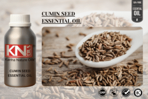 CUMIN SEED ESSENTIAL OIL