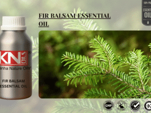 FIR BALSAM ESSENTIAL OIL