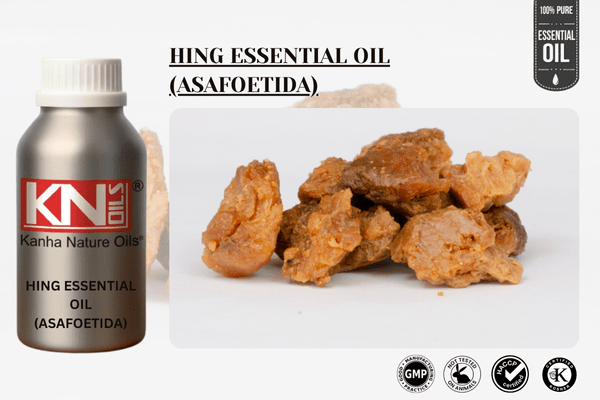 HING ESSENTIAL OIL (ASAFOETIDA)