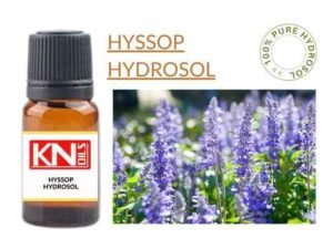 HYSSOP HYDROSOL