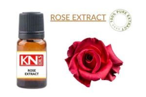 ROSE EXTRACT
