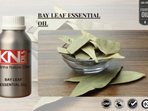 BAY LEAF ESSENTIAL OIL