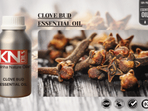 CLOVE BUD ESSENTIAL OIL