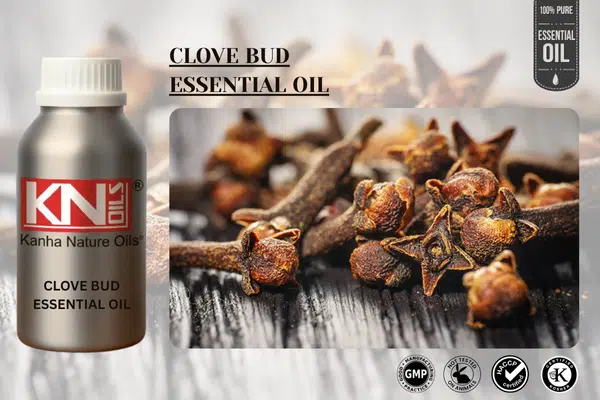 CLOVE BUD ESSENTIAL OIL