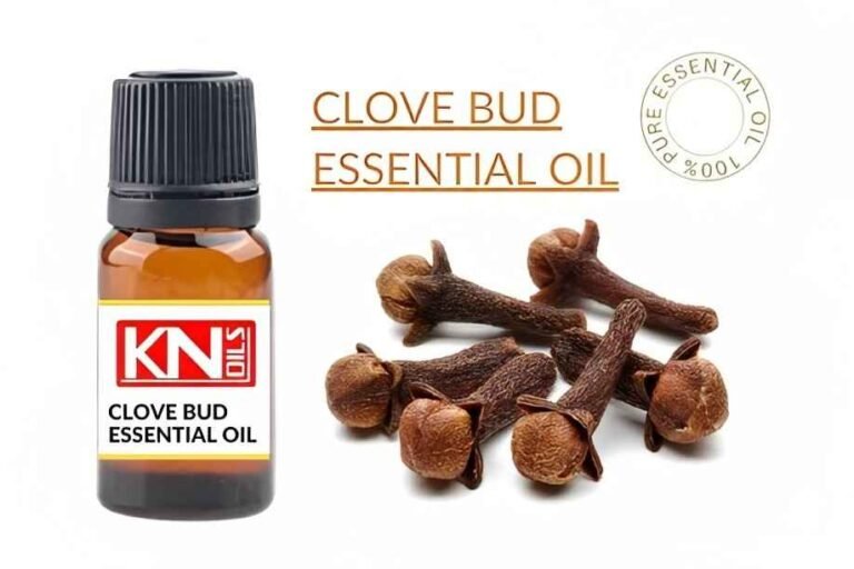 CLOVE BUD ESSENTIAL OIL Buy PureESSENTIAL OIL