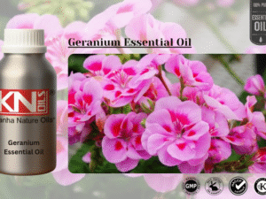 Geranium Essential Oil – A Floral Delight for Wellness and Beauty