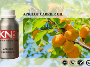 APRICOT CARRIER OIL