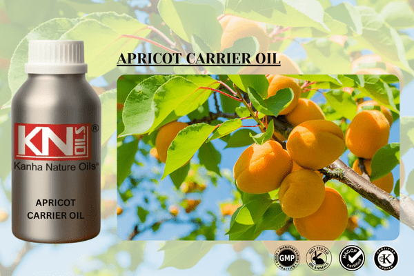 APRICOT CARRIER OIL