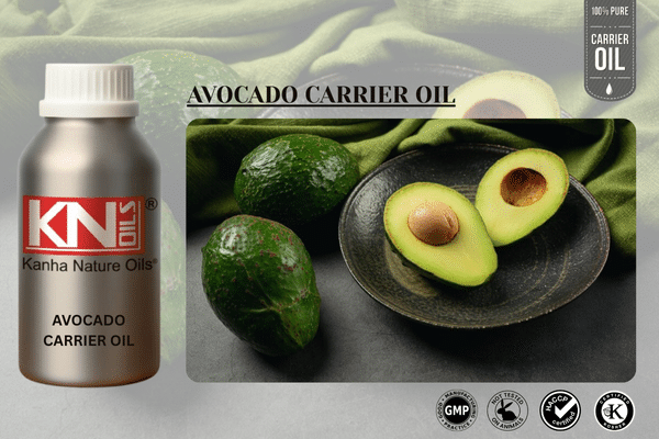 AVOCADO CARRIER OIL