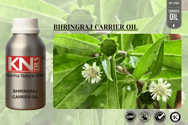 BHRINGRAJ CARRIER OIL