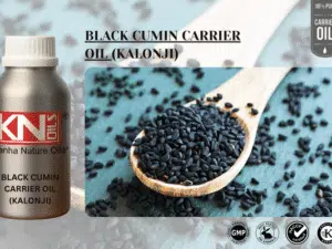 BLACK CUMIN CARRIER OIL (KALONJI)