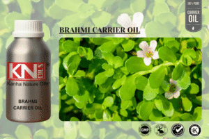 BRAHMI CARRIER OIL