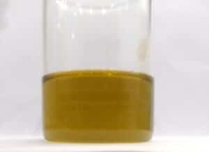BRAHMI CARRIER OIL