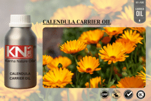 CALENDULA CARRIER OIL