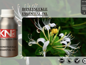 HONEYSUCKLE ESSENTIAL OIL