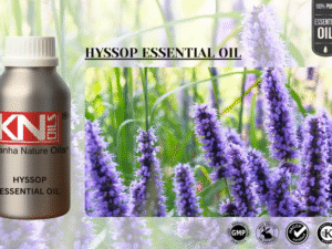 HYSSOP ESSENTIAL OIL