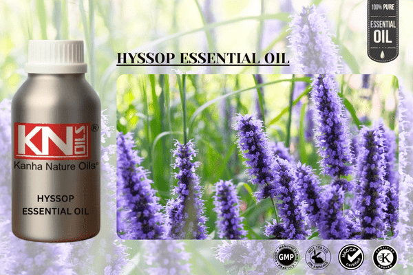 HYSSOP ESSENTIAL OIL