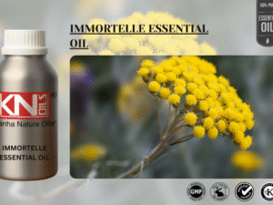 IMMORTELLE ESSENTIAL OIL