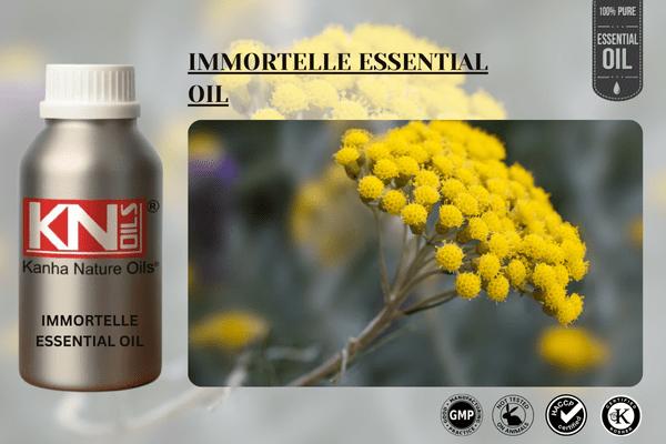 IMMORTELLE ESSENTIAL OIL