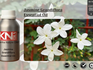 Jasmine Grandiflora Essential Oil