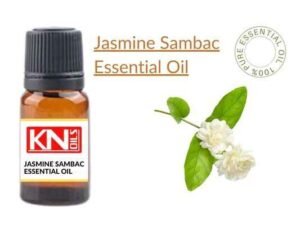 Jasmine Sambac Essential Oil