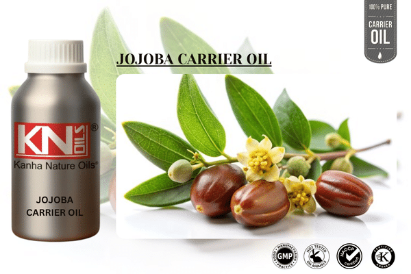 JOJOBA CARRIER OIL
