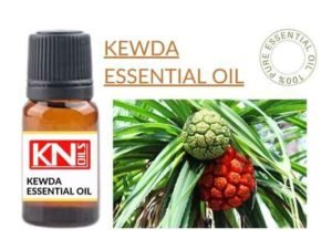 KEWDA ESSENTIAL OIL