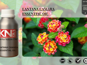 LANTANA CAMARA ESSENTIAL OIL