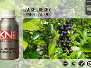 LAUREL BERRY ESSENTIAL OIL
