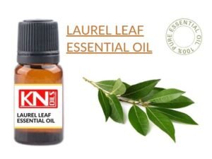 LAUREL LEAF ESSENTIAL OIL