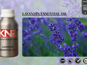 LAVANDIN ESSENTIAL OIL