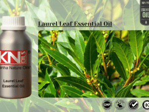 Laurel Leaf Essential Oil