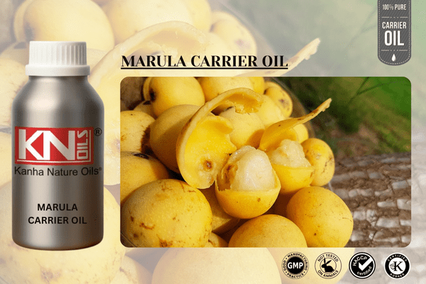 MARULA CARRIER OIL