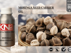MORINGA SEED CARRIER OIL