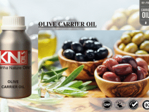 OLIVE CARRIER OIL
